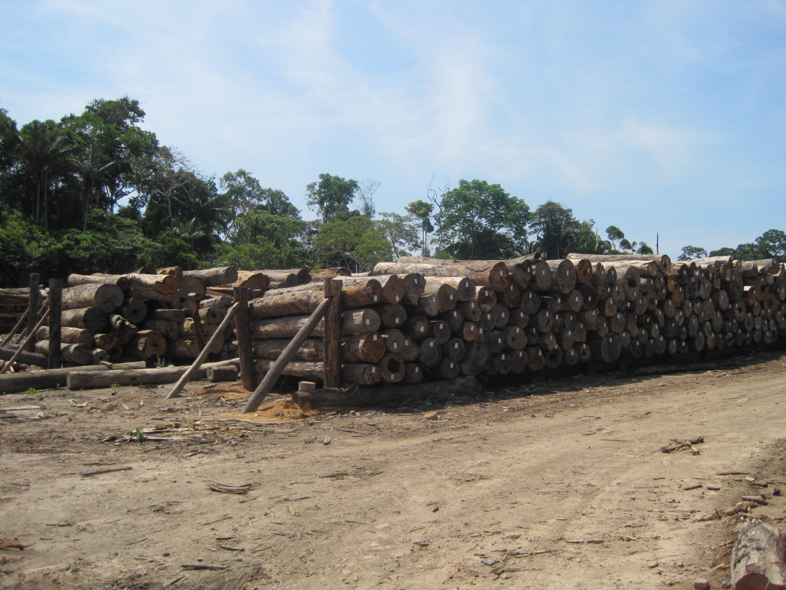 Camaru, Teak, Ipe from Brazil Timber and Lumber Export Offers
