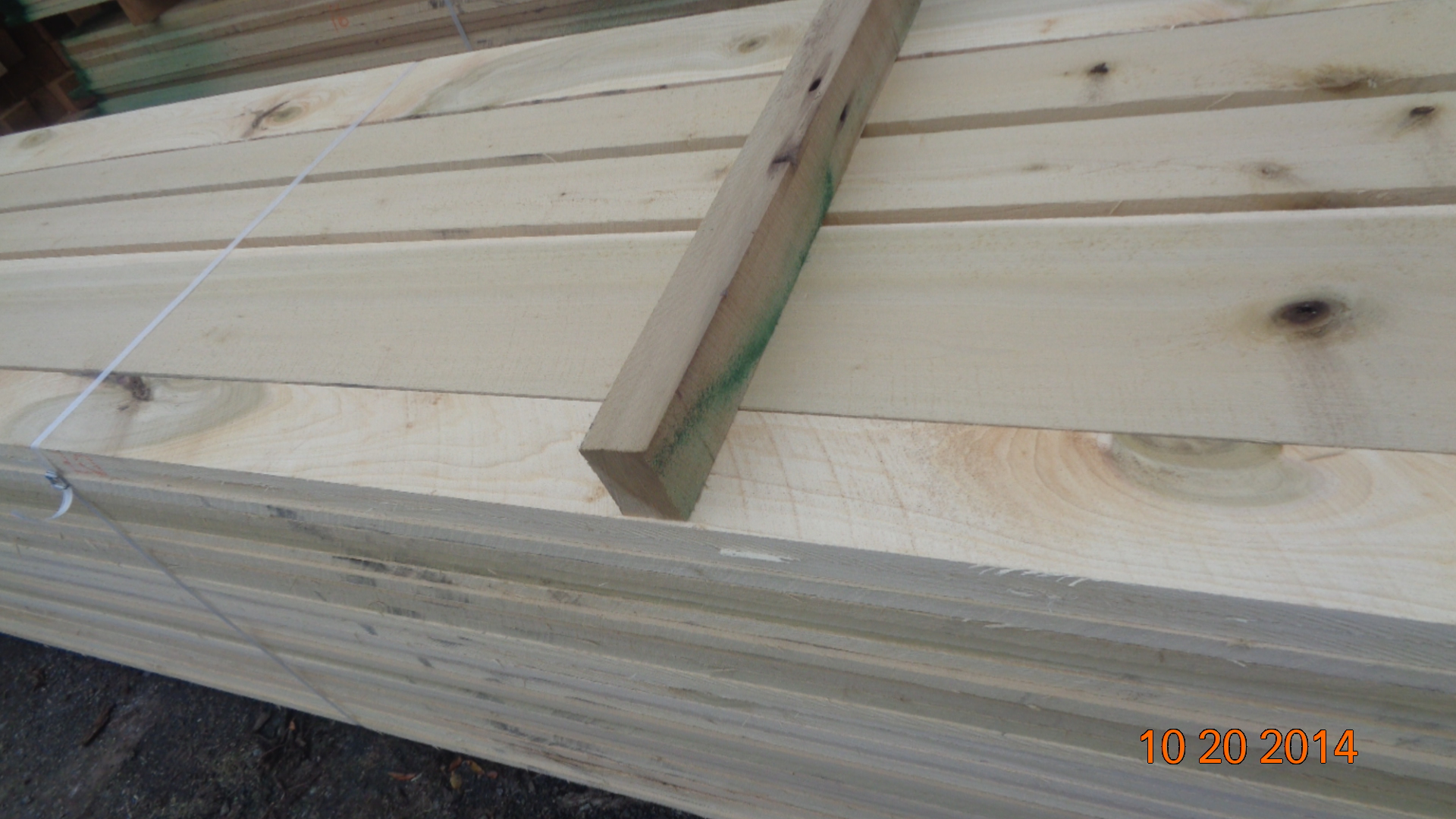 Poplar Timber And Lumber Export Offers - 