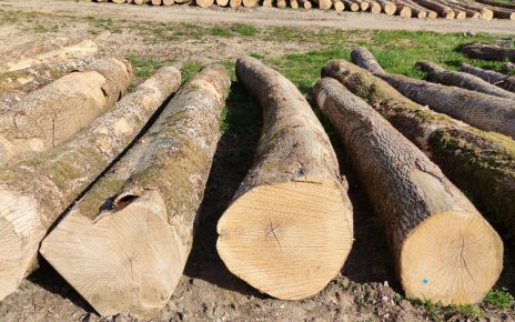 Ash Logs Exporters