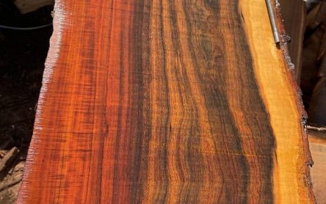 Gidgee Wood- Australian Hardwoods
